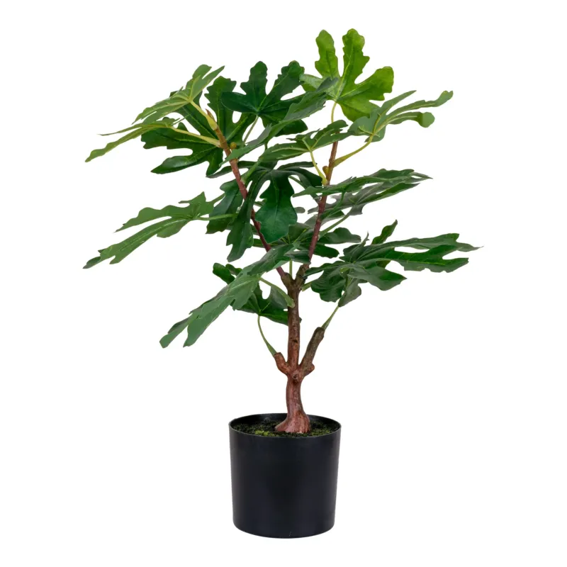 Kunstpflanze Feigenbaum – 60 cm mediterraner Charme für dein Zuhause