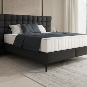 Boxspringbett Alvion in Echtleder