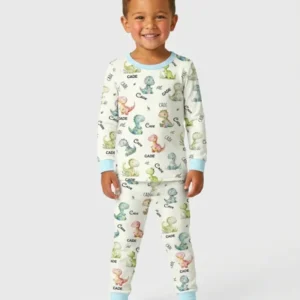Dinosaur Custom Name Bamboo Two Piece Long Sleeve Pajama Set